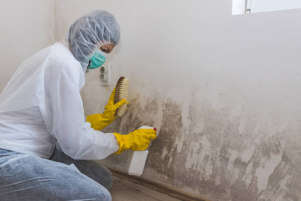 Best Airborne Mold Testing  in North Vernon, IN