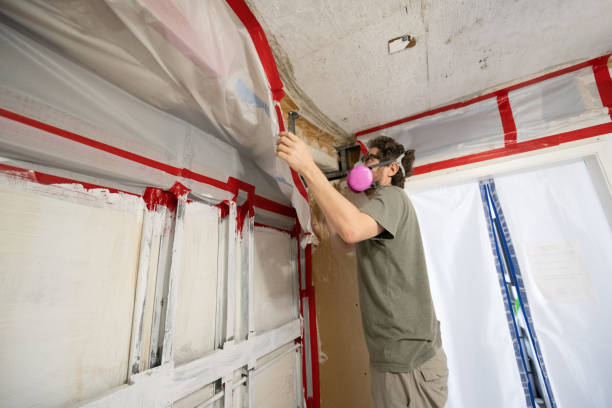 Best Indoor Air Quality Assessment  in North Vernon, IN