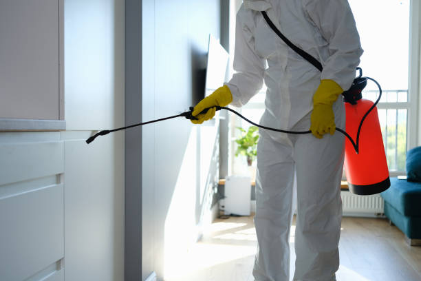 Best Environmental Consulting for Mold Prevention  in North Vernon, IN