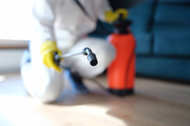 Mold Odor Removal Services in North Vernon, IN