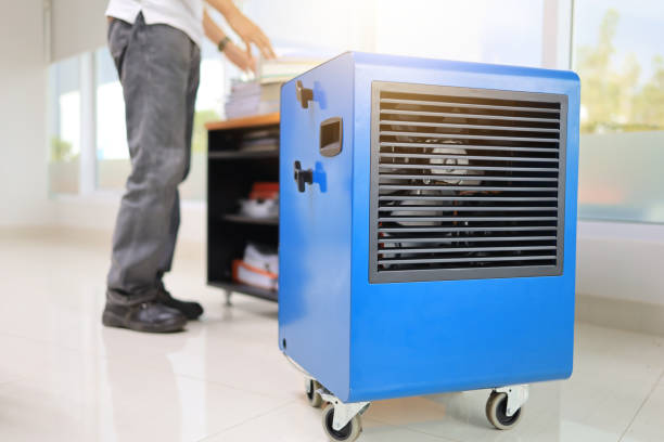 Best Black Mold Removal  in North Vernon, IN