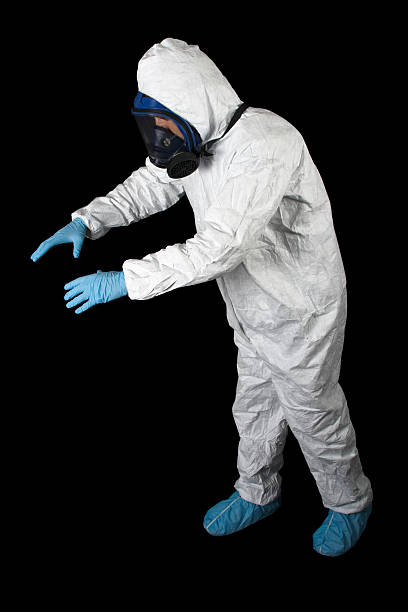 Reliable North Vernon, IN Mold Removal Solutions